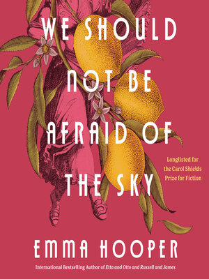 cover image of We Should Not Be Afraid of the Sky